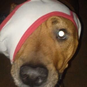 Meet your Posher, Eric